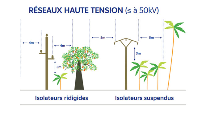 Réseau haute tension EDF élagage